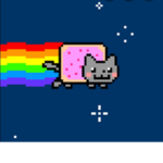 Nyan cat gamer