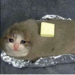 Please join I need robux yeet that fetus