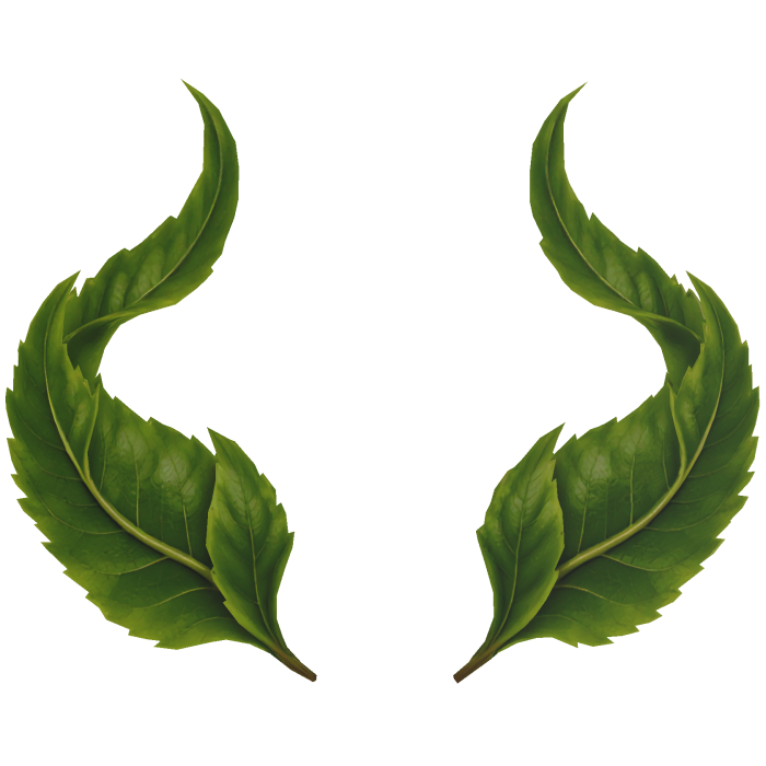 leaf horns