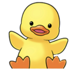DUCKS GROUP BECOME A DUCK