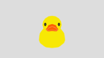 Ducks Around Us