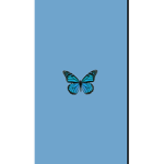 Butterfly_Guys