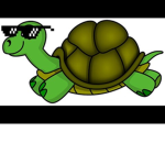 long live turtles