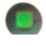 RobloxPros Group