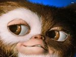 Tiny little gremlins