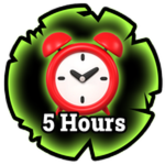 5 Hours
