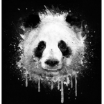 Officail Group For Pandas!!!