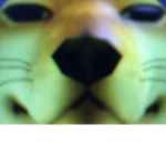 Sly dog fan group made by Landon