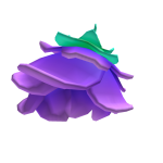 Purple Rose Hair