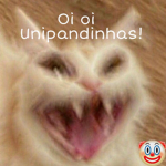 Unicorn Panda Games