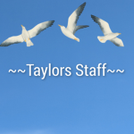 ~~~Taylors Staff~~~