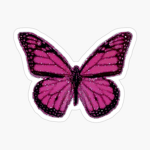 ʚɞ Tracy's Closet ʚɞ