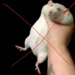 DONT CHOKE RATS