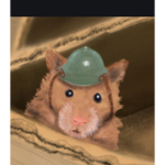 Team Hammy Military Squad