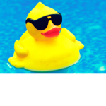 Quacker Gang