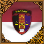 [INS] Divisi Profesi dan Pengamanan