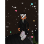 IDIOT CLANZZZ