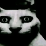 Silly Cats Corporation