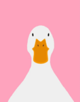 Seagull trains