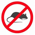 RAT BUSTERS SOCIETY