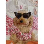 ʚɞ• cali’s closet •ʚɞ