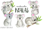 Koala loves squad