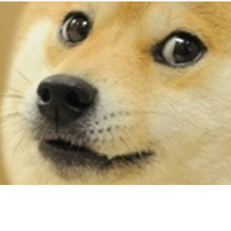 Doge world