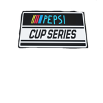 Pepsi Cup Series League