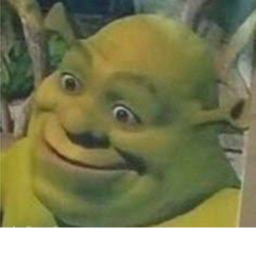 SHREK LAND!