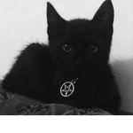 Hell’s Satans