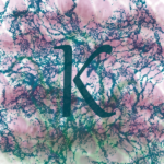 Kerxos