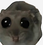 Bellaberry