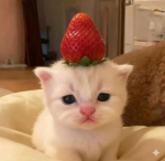 - Strawberri -