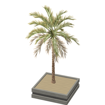 Pbr Palm Tree Plant Pot Tropical Beach Decor 