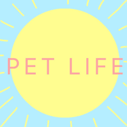 Pet Life ( Early Testing )