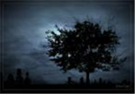 land of the shadows...