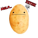 A Group About Potatos
