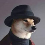 doge fans YT