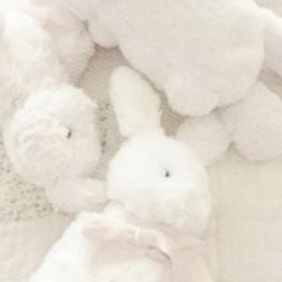 ୨୧