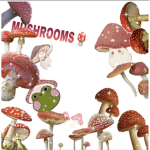 •MUSHR00M GR0UP•