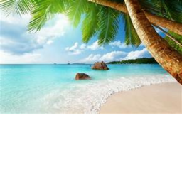 Activity Paradise