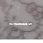 *+: tropicals :+*