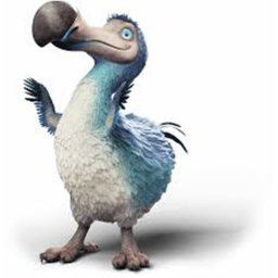 dodo raid place