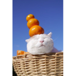 로벅스 줄게! 겜친은 안줘요!!