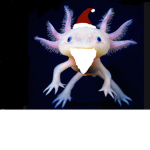 Axolotl gruppe
