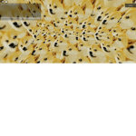dogs doge king dnsnae