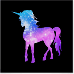 Unicorn's Galaxy obby!