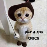 A1lpa