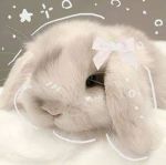 -DreamyPlayz-