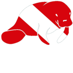 Walruses Unite